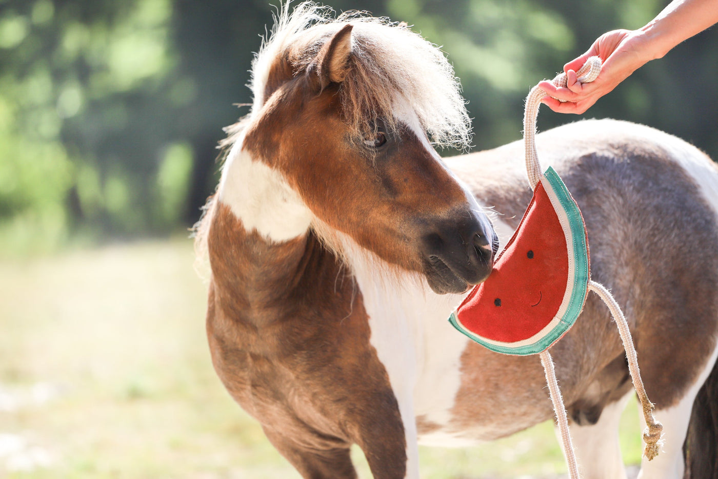 Eco Horse Toys