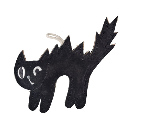 Scaredy Cat, Eco Dog Toy