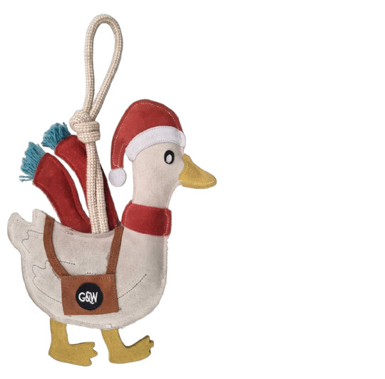 Donna the Duck, Eco Toy