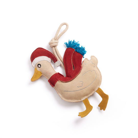 Donna the Duck, Eco Toy