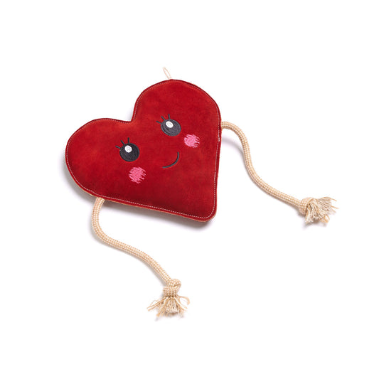 Trudy Biglove, Eco Dog Toy
