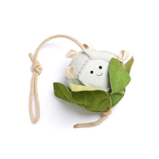 Calli the Cauli, Eco Horse Toy