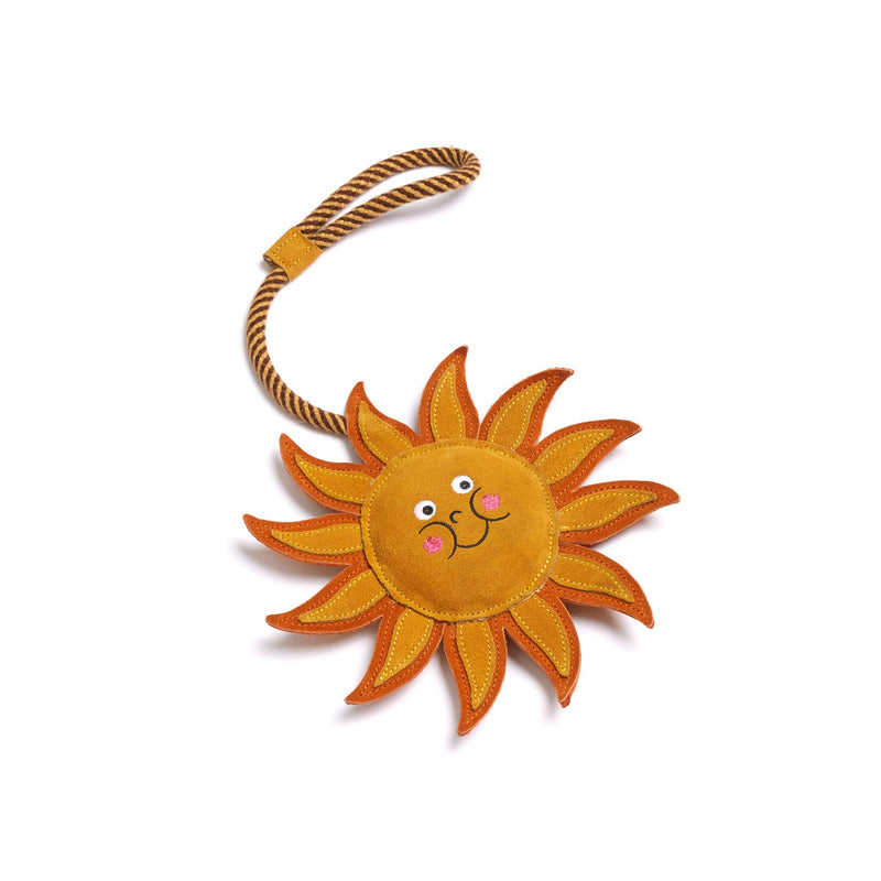 Sunny Ray, Eco Horse Toy