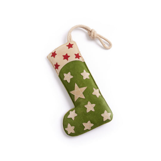 You're a Star Stocking, Eco Toy