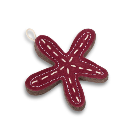 Stanley the Starfish, Eco Dog Toy