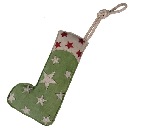 You're a Star Stocking, Eco Toy