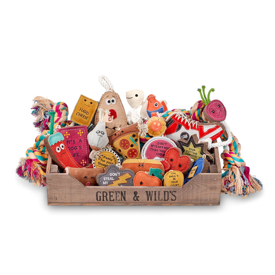Bundle of Fun, 25 Eco Dog Toys