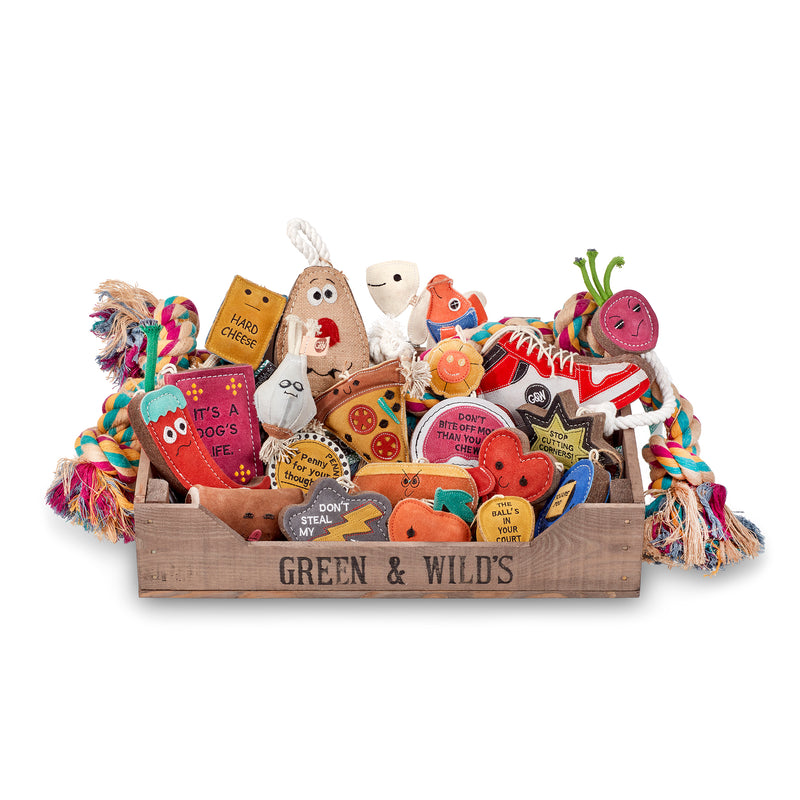 Black Friday 25 Eco Dog Toy Bundle