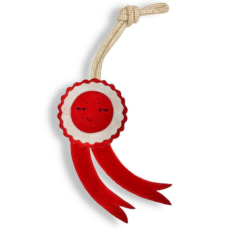 Rosa the Rosette, Eco Horse Toy
