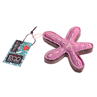 Stanley the Starfish, Eco Toy